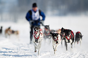 p-f.ch_120211_1242_7394_1D