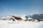 p-f.ch_120211_1248_0764_5D