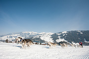 p-f.ch_120211_1249_0765_5D