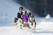 p-f.ch_120211_1250_7458_1D