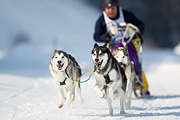 p-f.ch_120211_1250_7466_1D