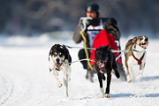 p-f.ch_120211_1251_7481_1D