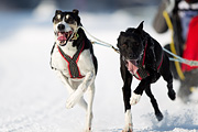 p-f.ch_120211_1251_7482_1D