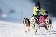 p-f.ch_120211_1253_7494_1D