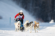 p-f.ch_120211_1255_7510_1D