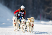 p-f.ch_120211_1255_7518_1D
