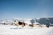 p-f.ch_120211_1256_0767_5D