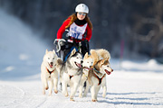 p-f.ch_120211_1256_7522_1D