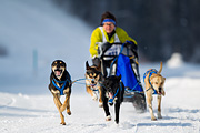 p-f.ch_120211_1258_7564_1D