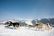 p-f.ch_120211_1259_0768_5D