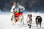 p-f.ch_120211_1259_7584_1D