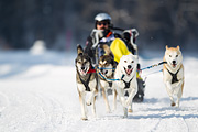 p-f.ch_120211_1300_7623_1D