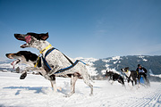 p-f.ch_120211_1301_0769_5D