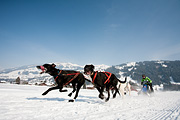 p-f.ch_120211_1302_0770_5D