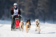 p-f.ch_120211_1304_7684_1D