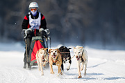 p-f.ch_120211_1304_7689_1D