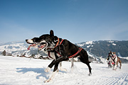 p-f.ch_120211_1306_0771_5D