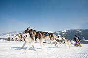 p-f.ch_120211_1306_0772_5D