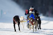 p-f.ch_120211_1306_7705_1D