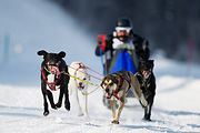 p-f.ch_120211_1306_7706_1D