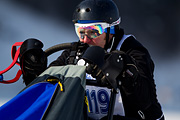 p-f.ch_120211_1306_7717_1D