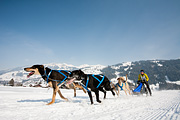 p-f.ch_120211_1311_0773_5D