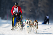 p-f.ch_120211_1311_7721_1D