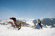 p-f.ch_120211_1312_0774_5D