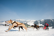 p-f.ch_120211_1315_0776_5D