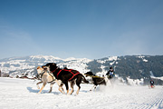p-f.ch_120211_1315_0777_5D