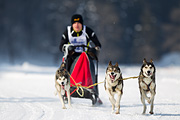 p-f.ch_120211_1315_7762_1D