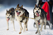 p-f.ch_120211_1315_7769_1D
