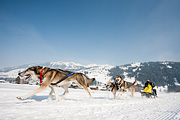 p-f.ch_120211_1319_0779_5D
