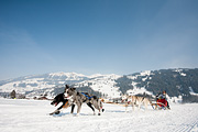 p-f.ch_120211_1319_0780_5D