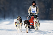 p-f.ch_120211_1319_7802_1D