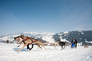 p-f.ch_120211_1320_0781_5D