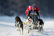 p-f.ch_120211_1320_7843_1D