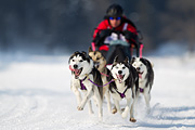 p-f.ch_120211_1321_7863_1D