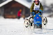 p-f.ch_120211_1323_7884_1D