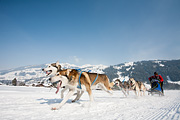 p-f.ch_120211_1326_0783_5D