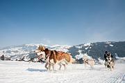p-f.ch_120211_1327_0784_5D
