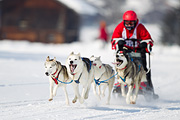 p-f.ch_120211_1327_7935_1D