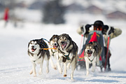 p-f.ch_120211_1328_7955_1D