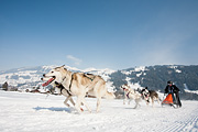 p-f.ch_120211_1329_0785_5D