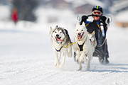p-f.ch_120211_1330_7966_1D