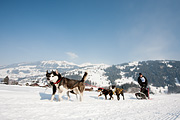 p-f.ch_120211_1332_0786_5D