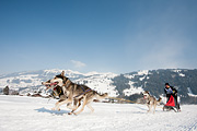 p-f.ch_120211_1332_0787_5D