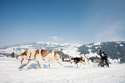 p-f.ch_120211_1333_0788_5D