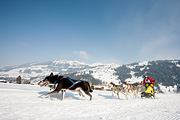 p-f.ch_120211_1335_0789_5D