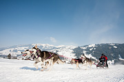 p-f.ch_120211_1335_0790_5D